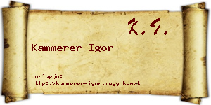 Kammerer Igor névjegykártya